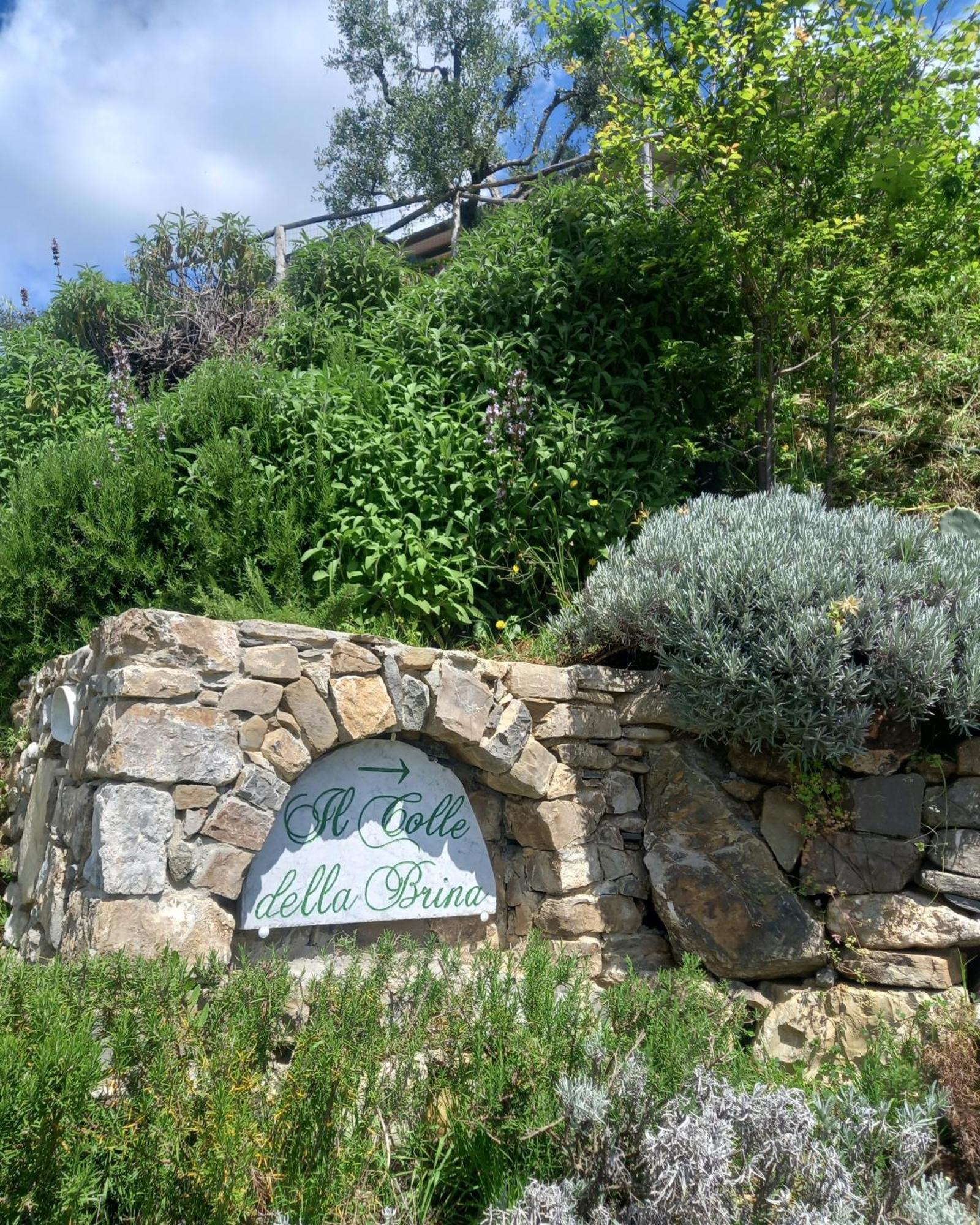 Il Colle Della Brina Hotel Сарцана Екстериор снимка